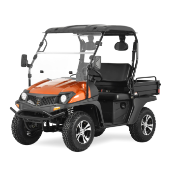 200CC UTV with High-Low speed ORANGE